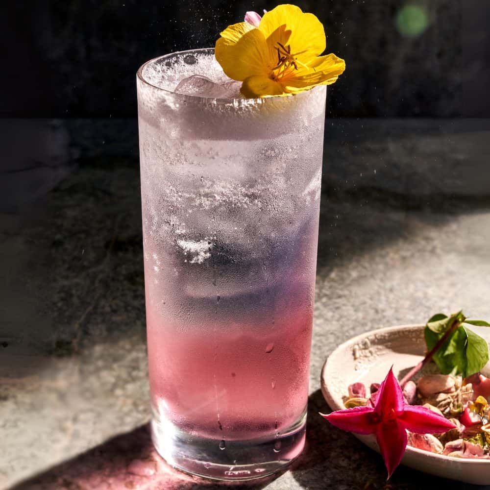 Cóctel Fancy G&T con ralladura de toronja